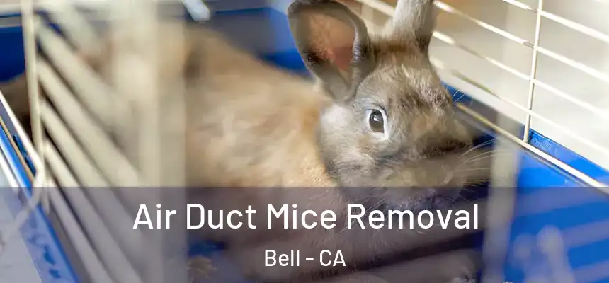  Air Duct Mice Removal Bell - CA