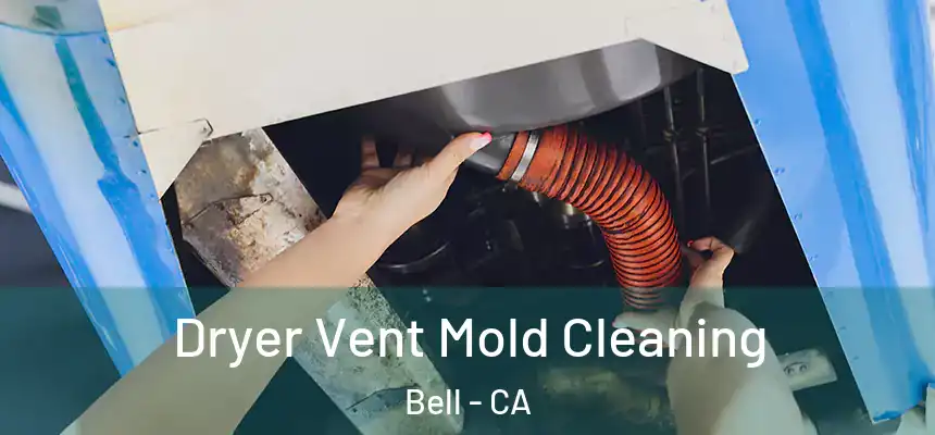 Dryer Vent Mold Cleaning Bell - CA