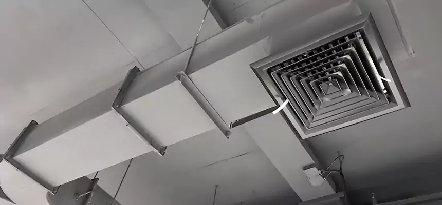 Restorative Allergy Relief Vent Cleaning – Coil, Blower & Housing Detail in Bell