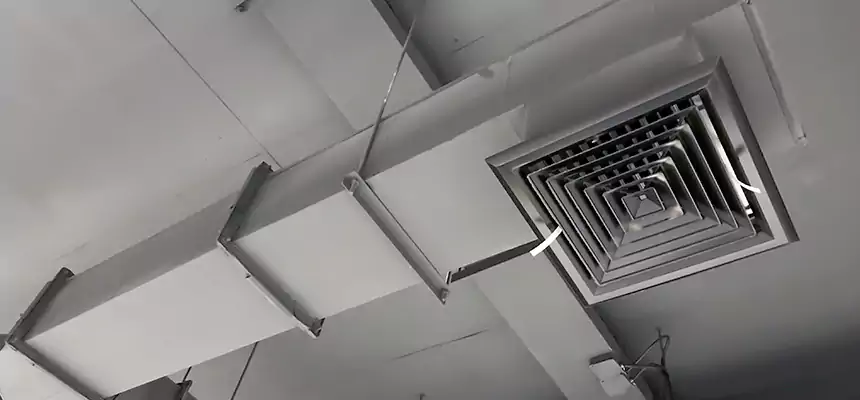 Our Rodent Droppings In Vents Services in Bell, CA