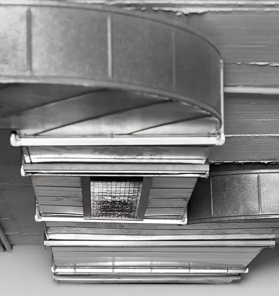 Professional Air Duct Pest Removal in Bell, CA