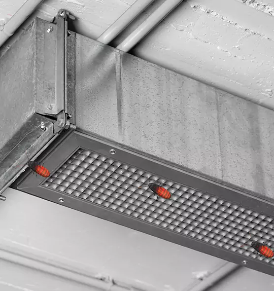 Affordable Insect Removal from Air Ducts in Bell, CA