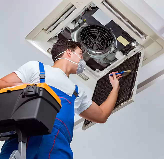 Why Homeowners & Businesses Trust Us in Bell, CA