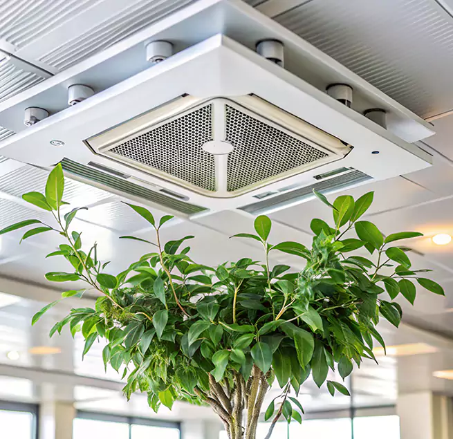 Why Homeowners & Businesses Trust Us in Bell, CA