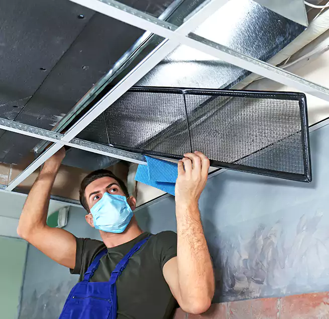 Why Homeowners Businesses Trust Us in Bell, CA